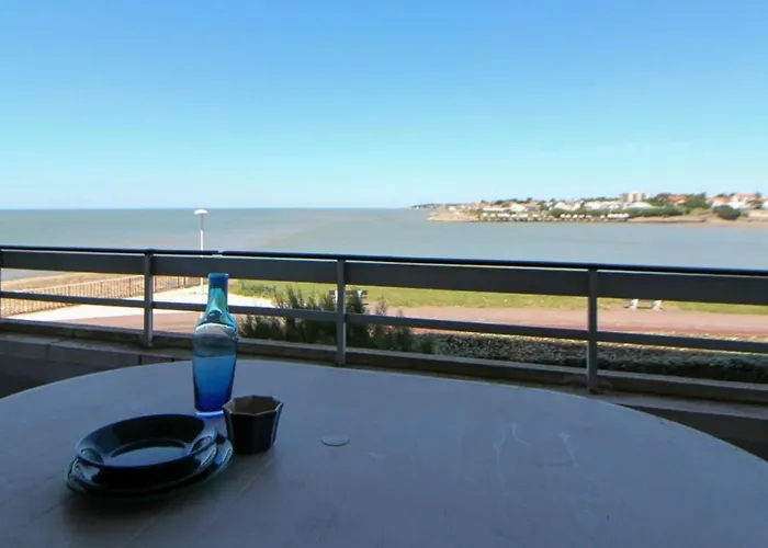 Studio Spacieux Face A La Mer Avec Terrasse Et Animaux Acceptes - Fr-1-494-47